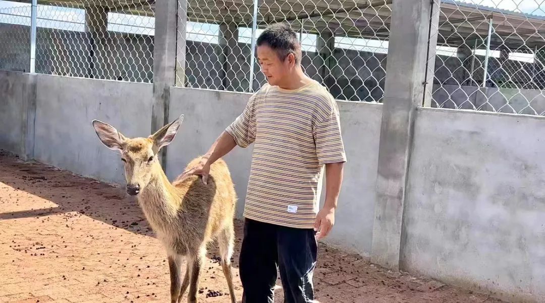 新莆京娱乐场app下载